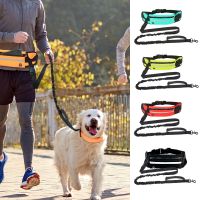 Hands Free Running Dog Leash with Waist Bag Reflective Full Function Traction Rope Walking Elastic Retractable D-ring Lead Leash Leashes