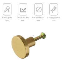 【LZ】☽  Gold Zinc alloy Brass Door Handle Screws Smooth Cabinet Tool Install Locker Drawer Handles