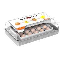 20 Pcs Eggs Incubator Mini Eggs Incubator Household Automatic Incubator Farm Chicken Bird Incubator