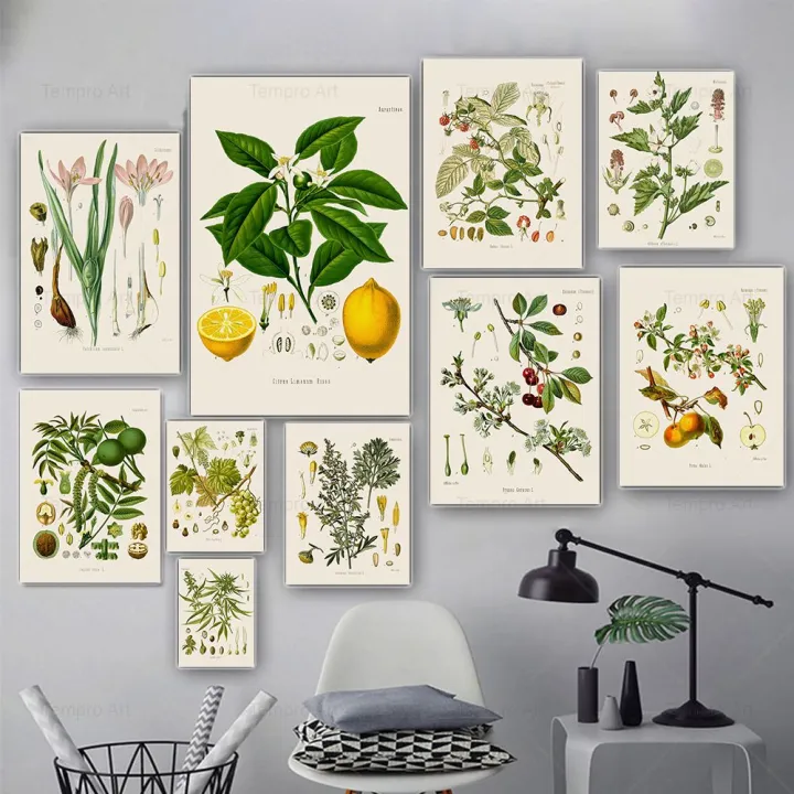 Vintage Botanical Posters and Prints Koehler's Medicinal Plants Canvas ...