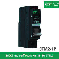 เบรกเกอร์ย่อย CT Electric 10A,16A,20A,32A แบบ Plug-in/Plug-on