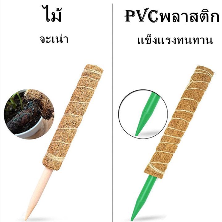 dimama-เสาใยมะพร้าว-ไม้หลักแบบใยไม้หลักแบบกาบมะพร้าว-หลักไม้เลื้อย-ช่วยพยุงต้นไม้-สวย-แข็งแรง-ทนทาน-รากเกาะได้ดี