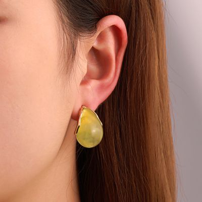[COD] European and ins simple fresh acrylic earrings retro temperament resin C-shaped geometric net red fashion