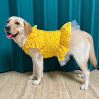 Small Medium Big Large Pet Clothing Summer Dog Dress Poodle Corgi Shiba Inu Samoyed Husky Labrador Golden Retriever Costume Clothing Shoes Accessories