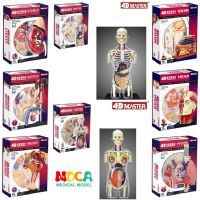 4D Master Puzzle Assembling Toy Human Body Organ Anatomical Model Medical Teaching Model 8 Species Selection