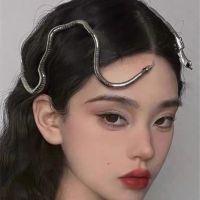 Dark and earthy cool open-ended casual shape snake-shaped winding necklace collar personality European and American hotties exaggerated snake-shaped headdress