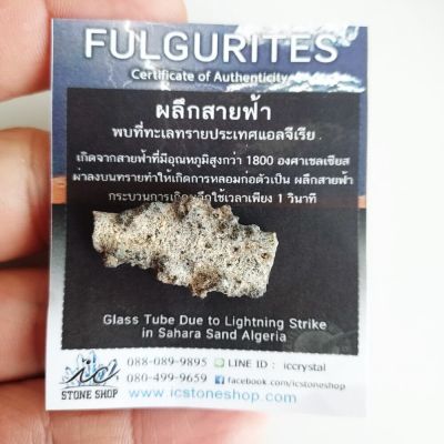 ฟูลกูไรต์(Fulgurite) หรือผลึกสายฟ้า เกิดจากฟ้าผ่าที่ทะเลทรายซาฮาร่า