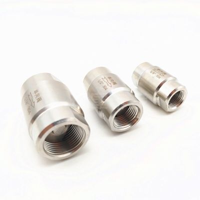 304 Stainless Steel DN6 DN8 DN10 DN15 High Pressure Check Valves Gas Water One-Way Valve Clamps