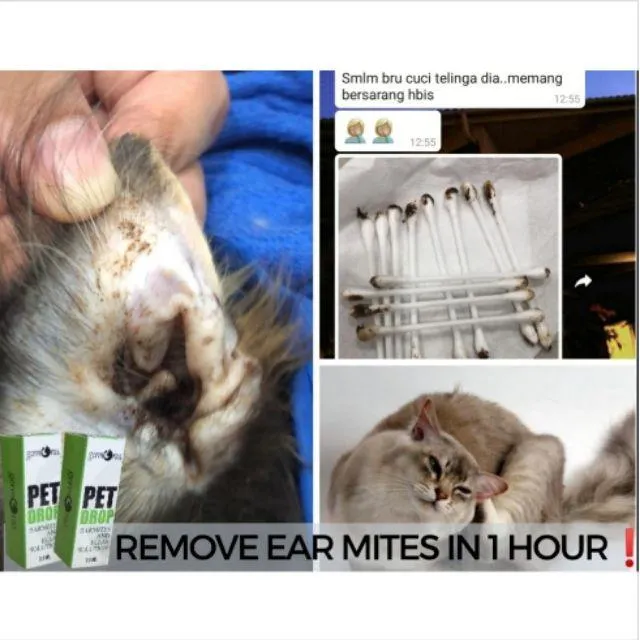 Ubat Kutu Kucing Anjing Cats Earmites Fleas Lice Tick Hama Kutu Telinga Telur Kutu 1 Botol Untuk 5 9 Ekor Lazada