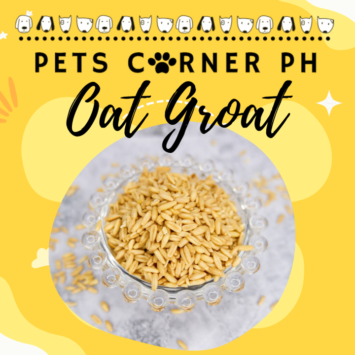 Oat Groat for hamsters / birds trial repacked version 75g Lazada PH