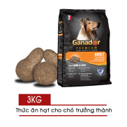 HCMThức ăn hạt cho Chó Lớn Ganador Adult 3kg - Vị Cừu và Gạo