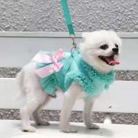 Small Puppy Dog Cat Clothes Harness Leash Breathable skirts Harness Vest Dress For Small Medium Dogs Cats Chihuahua teddy