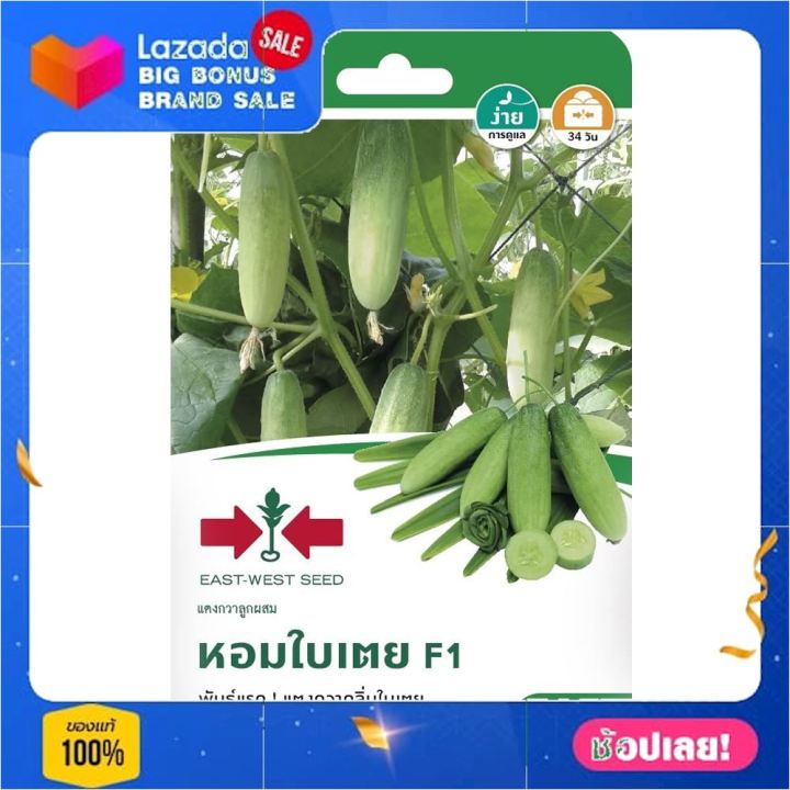 เมล็ดพันธุ์ แตงกวาลูกผสม หอมใบเตย F1 เมล็ดพันธุ์ผัก ผัก ราคาถูก พร้อมปลูก Seed farm garden