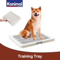 Kanimal Dog Toilet ถาดฝึกฉี่สุนัข ถาดรองซับ ห้องน้ำสุนัข รุ่นเปิดฝาบน สำหรับสุนัขพันธุ์กลาง Size L ขนาด 65x52x4.5 ซม.