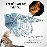 [LH]CatTrap4You กรงดักแมว กรงดักแมวคะ(ไซส์ XL) ส เหล็กเส้น ชุบกาวาไนท กันสนิม พับได้ จับแมวจรจัด จับแมว ดักจับแมว