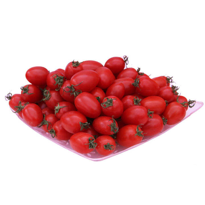 เมล็ดมะเขือเทศเชอรี่แดง-200เมล็ด-cherry-tomato