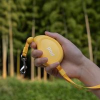 Mango yellow shaped Dog Leash Retractable Pet Traction Rope 3M Automatic Telescopic Pet Chain forMini Small Dog Walking