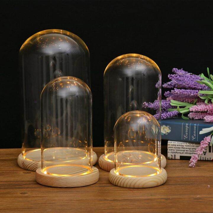 simplelove-clear-glass-display-dome-with-wooden-base-display-dry-flower-plant