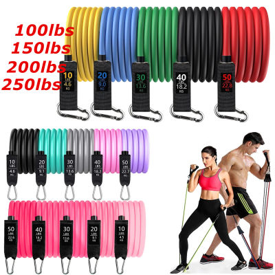 1117Pcs Resistance Bands Set Yoga Pilates Latex Exercise Workout Band Stretch Training Fitness Equipment for Home Gym Weight