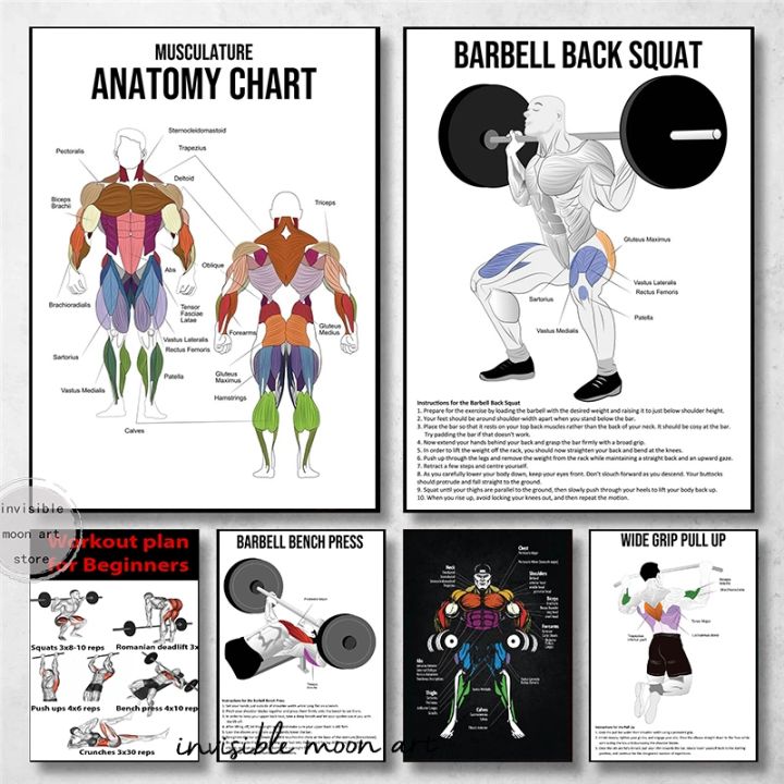 โปสเตอร์ศิลปะการออกกำลังกายแบบ-deadlift-แผนภูมิกายวิภาคโปสเตอร์ศิลปะภาพพิมพ์ภาพวาดฝาผนังผ้าใบวาดภาพบ้านอุปกรณ์ตกแต่งห้องออกกำลังกาย