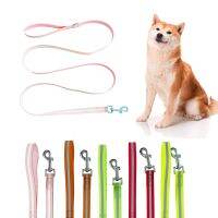 2 M 3M Candy Color Outdoor Dirtproof Easy Clean Waterproof Reflective Night Glowing PVC Coated Flat Dog Leash for All Sized Pet Leashes