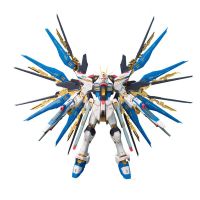 บันได RG 14 โจมตีฟรีกันดั้ม Strike Freedom ประกอบรูปแบบ