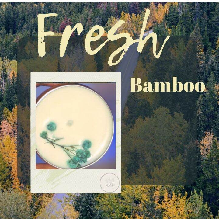 Fresh Bamboo La Bougie Scented Candle 50ml Lazada PH