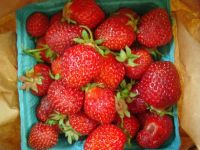 50 เมล็ด/ชุด เมล็ดพันธุ์ Strawberry สายพันธุ์ Hood