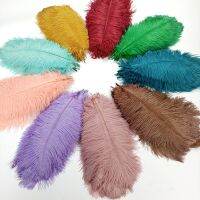 10 ชิ้น/ล็อตใหม่ขนนกกระจอกเทศสีสำหรับงานฝีมือ Black Mint Pink Red Gold Feather Decor DIY วันหยุดเทศกาลงานแต่งงานตกแต่ง-final1