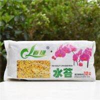 Natural Dried SPHAGAUM MOSS Garden Supplies Moisturizing Nutrition Organic Fertilizer for Butterfly Orchid Flowerpot Decoration