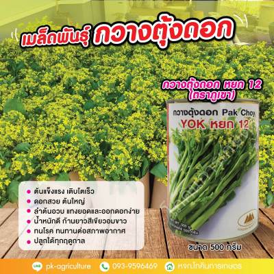 เมล็ดพันธุ์กวางตุ้งดอก หยก 12 (ตราภูเขา) ขนาด 500 กรัม