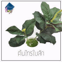 ต้นไม้ปลอม Fiddle-leaf fig หรือต้นไทรใบสัก     รหัส 002