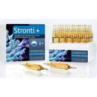 ?ถูกเวอร์? Prodibio Stronti+ ยกกล่อง 30 หลอด(แร่ธาตุสตรอนเทียม เร่งการเติบโต ของปะการังโครงแข็ง และเร่งสาหร่ายหินม่วง)  wpd1.3647?ราคาพิเศษ?