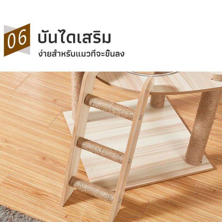 p-p-คอนโดแมว-คอนโดแมวลดราคา-คอนโดแมวถูกๆ-คอนโดแมวใหญ่-คอนโดแมวมีหลุม-คอนโดแมวไม้-คอนโดแมวอวกาศ-คอนโดแมวหลุมใส-คอนโดแมวแบบไม้