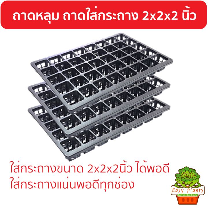 มาใหม่-ถาดหลุม-40-ช่อง-ถาดใส่กระถางสี่เหลี่ยม-2x2x2-นิ้ว-ตัวถาดใส่กับถาดไดโซะใหญ่-ได้พอดี-จัดสวน-แคตตัส-สวนจิ๋ว