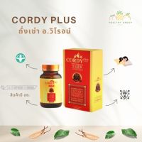 Cordy Plus ถั่งเช่า อ.วิโรจน์ ของแท้ 100% ถั่งเฉ้าแท้...สายพันธุ์ทิเบต สมุนไพรจักรพรรดิคอร์ดี้พลัส