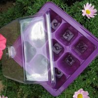 Good Germination Plant Tray Multipurpose Lightweight Flower Starter Flower Starting Germination Tray Gardening Box