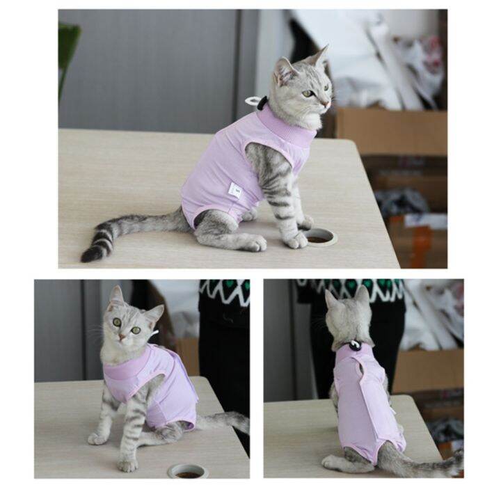 CHOCOL Kitten Recovery Protection Cat Clothes Post-Operative Pet ...