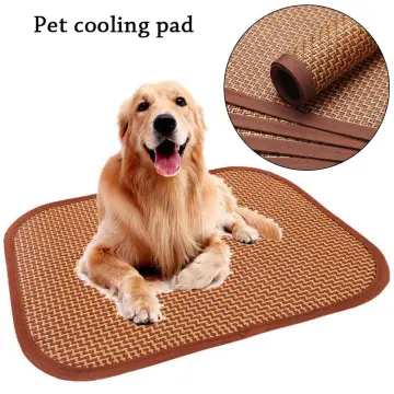 Electric cooling clearance pad for dogs