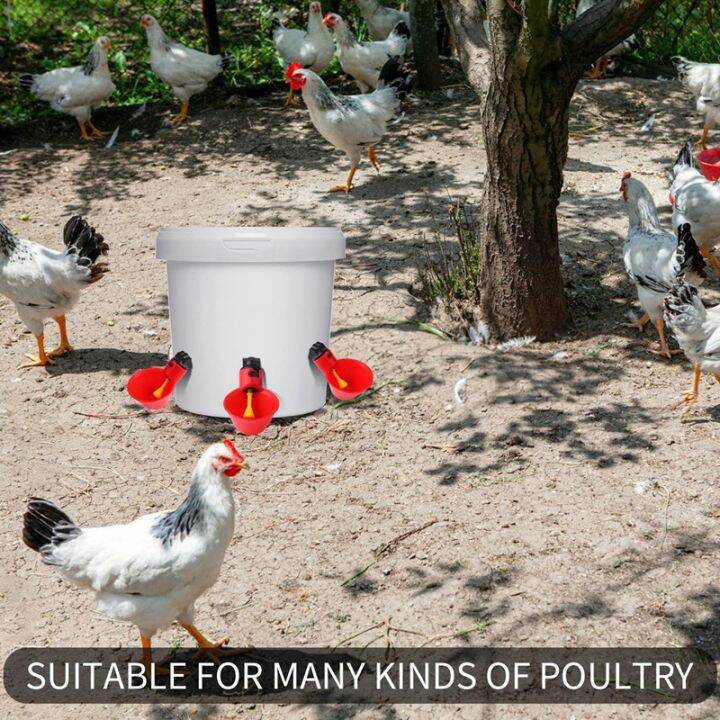 fully-automatic-poultry-drinking-machine-chicken-drinking-cup-chicken-water-nipple-drinker-feeders-waterer-12pcs