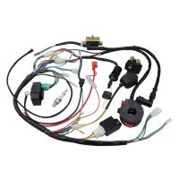 Atv 150Cc 200Cc 250Cc Ignition Coil Harness Switch Assembly Wiring Harness Coil Rectifier CDI ATV Solenoid Spark Plug Quad Pit Dirt Bike Buggy Go Kart Kits