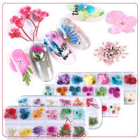 พร้อมส่งทุกวัน เซ็ตดอกไม้แห้ง สไตล์ญี่ปุ่น สำหรับตกแต่งเล็บ Dried Flowers Nail DIY มีให้เลือกหลายแบบ