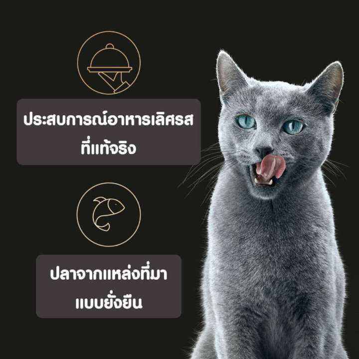 ส่งฟรี-sheba-ชีบา-ฟิเลต์-อาหารแมว-ชนิดเปียก-อาหารแมวพรีเมียมสำหรับแมวโตเต็มวัย-แพ็ก-16-60-ก