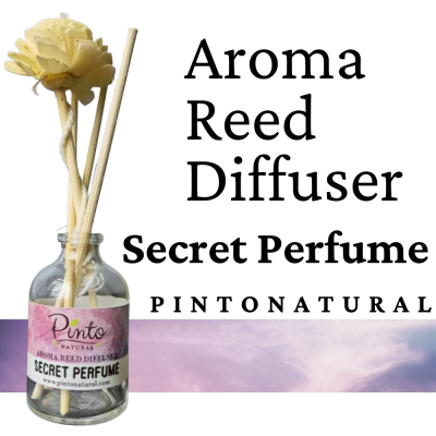 Pinto Natural Aromatic Reed Diffuser ก้านไม้หอมปรับอากาศ กลิ่นซีเคร็ทเพอร์ฟูม Secret Perfume