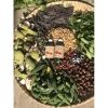 Nước rửa chén enzym hữu cơ organic bồ hòn quế boboon - ảnh sản phẩm 5