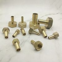 Brass 8mm 10mm 19mm 6mm 4mm Hose Barb Tail Fitting Female Male Thread Connector Joint Brass Pipe Coupler Adapter