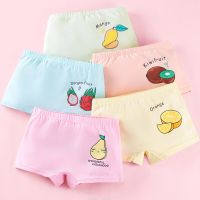 (TER)5Pcs/lot Baby Girls Cartoon  Underpants Kids Underwear Panties Toddler Children Underwear 2-10Y Underwear for Girls