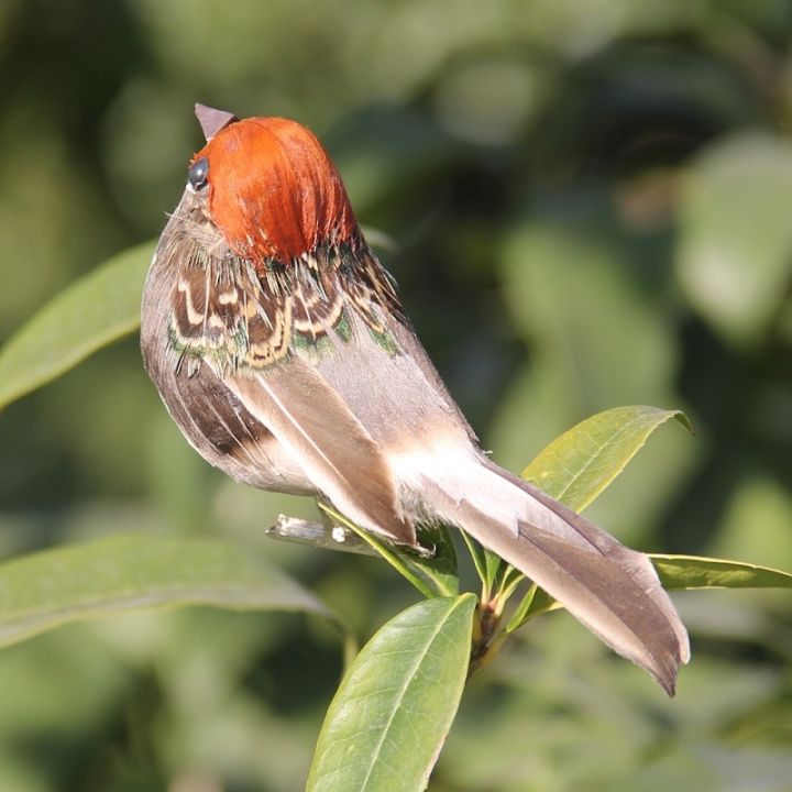 foam-feather-artificial-birds-vividly-sparrow-garden-emulation-decoration-xmas-tree-robin-home-outdoor-yard-ornaments-randomly