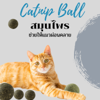 แคทนิปบอล Catnip Ball  สมุนไพรออร์แกนิคสำหรับแมวแบบลูกบอล # P018