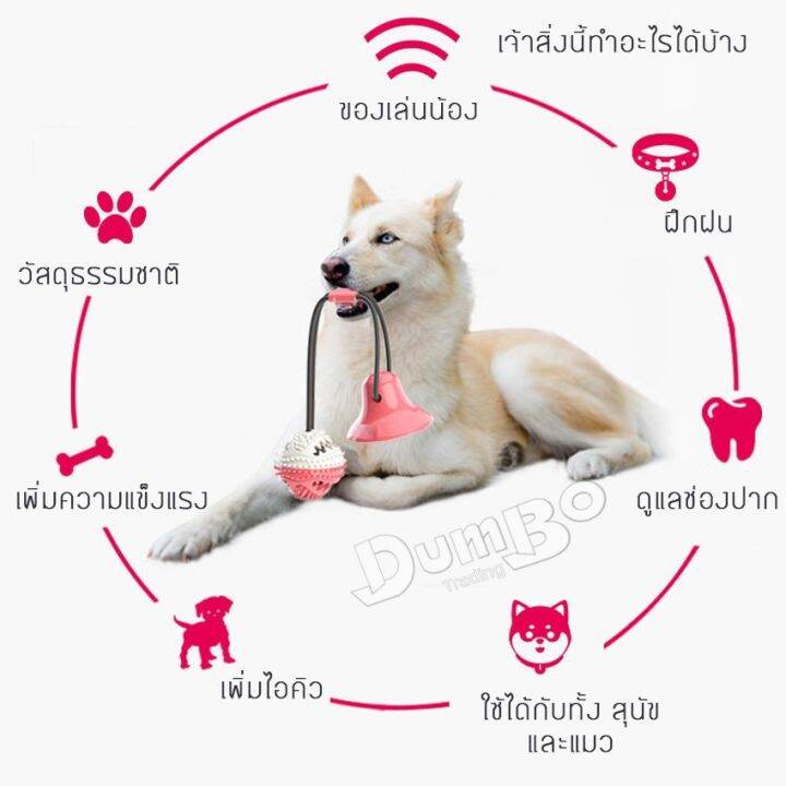 ของเล่นน้องหมา-ของเล่น-ของเล่นสุนัข-ของเล่นหมา-ของเล่นออกกำลังกาย-ของเล่นกัดแทะ-ของเล่นสัตว์เลี้ยง-ของเล่นสุนัขราคาถูก